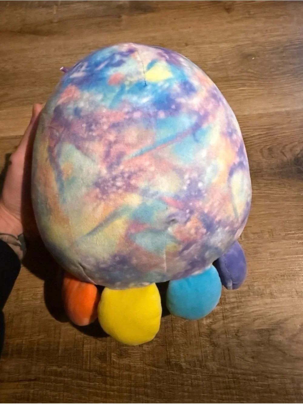 Squishmallow Bundle